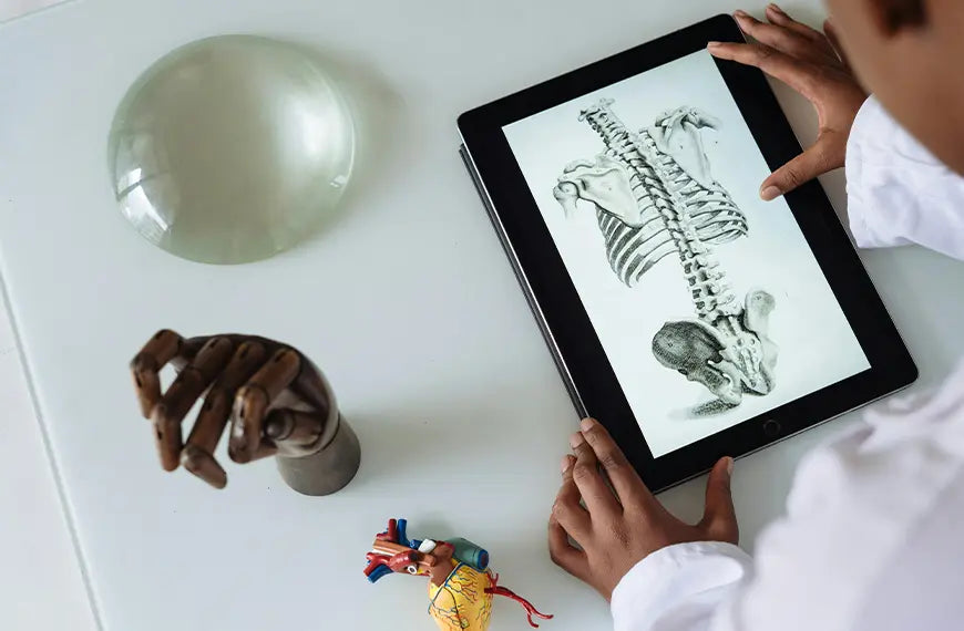 How Does CBD Work with the Endocannabinoid System?