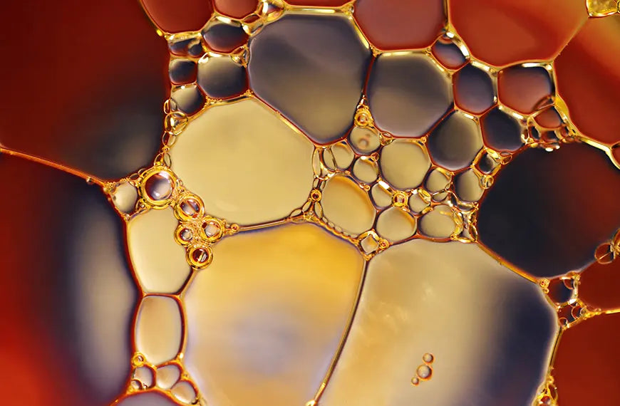 What Are the Differences Between Full-Spectrum, Broad-Spectrum, and CBD Isolate?