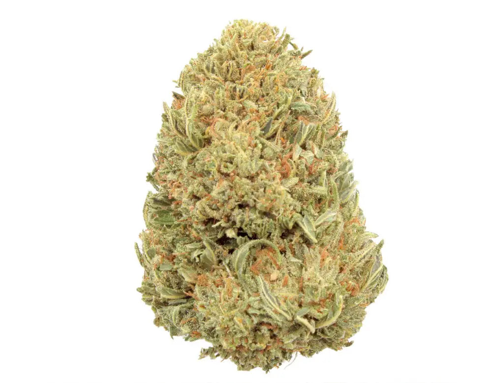 Bubba Kush 18 CBD Flower – Rich, earthy, and smooth with relaxing effects, offering a calming CBD experience perfect for unwinding.