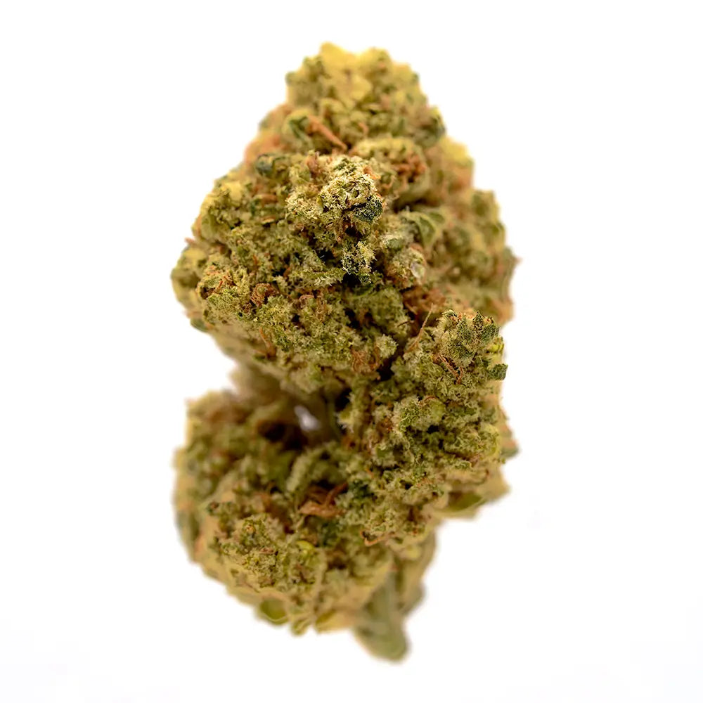 Mai Tai CBD Flower – A perfect balance of sweet tropical notes and calming CBD effects. This fruity favourite is part of the premium OriginalsCBD flower selection in the UK.