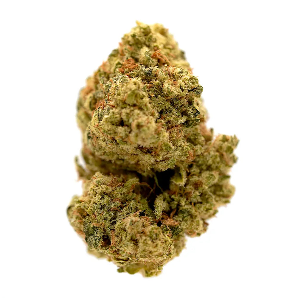 Mai Tai CBD Flower – Bursting with tropical flavours and smooth relaxation, this premium CBD flower brings a fruity, exotic twist to your experience. Available now from the OriginalsCBD trusted UK collection.