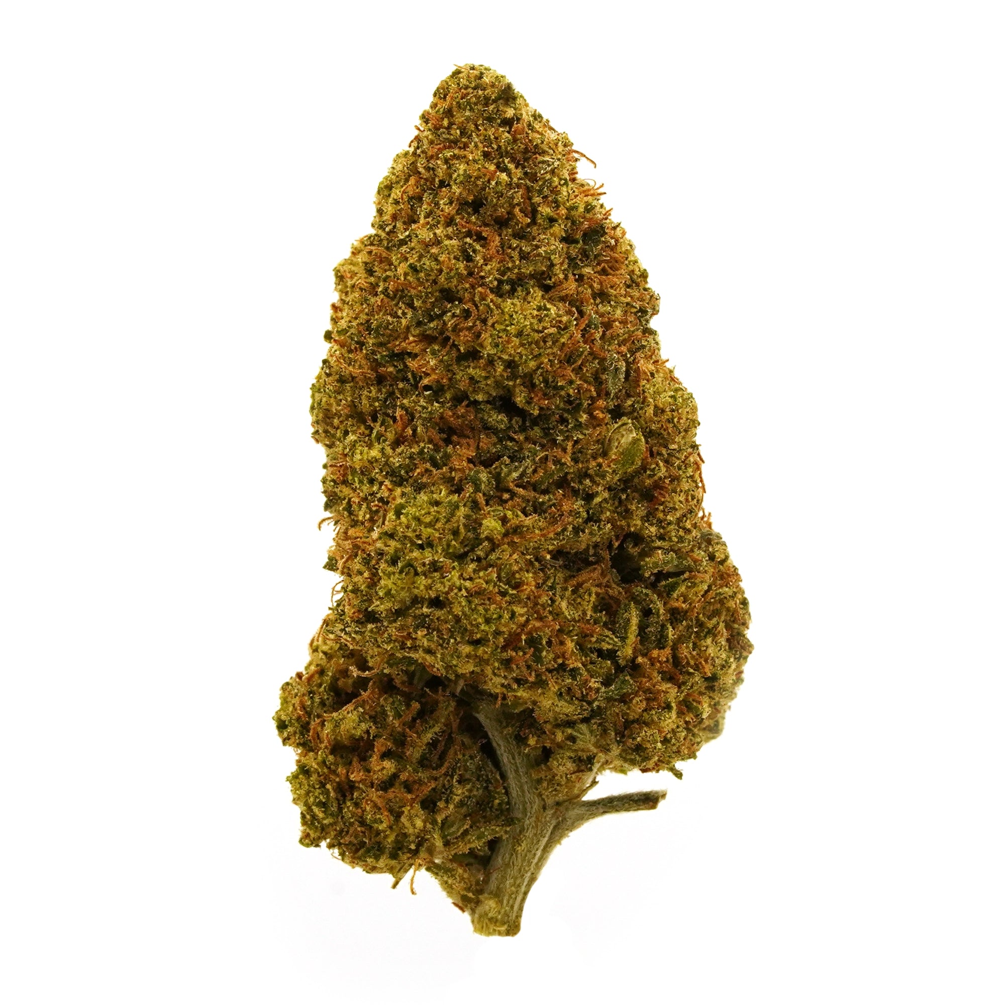 Fleur de CBD Raspberry Bear Claw