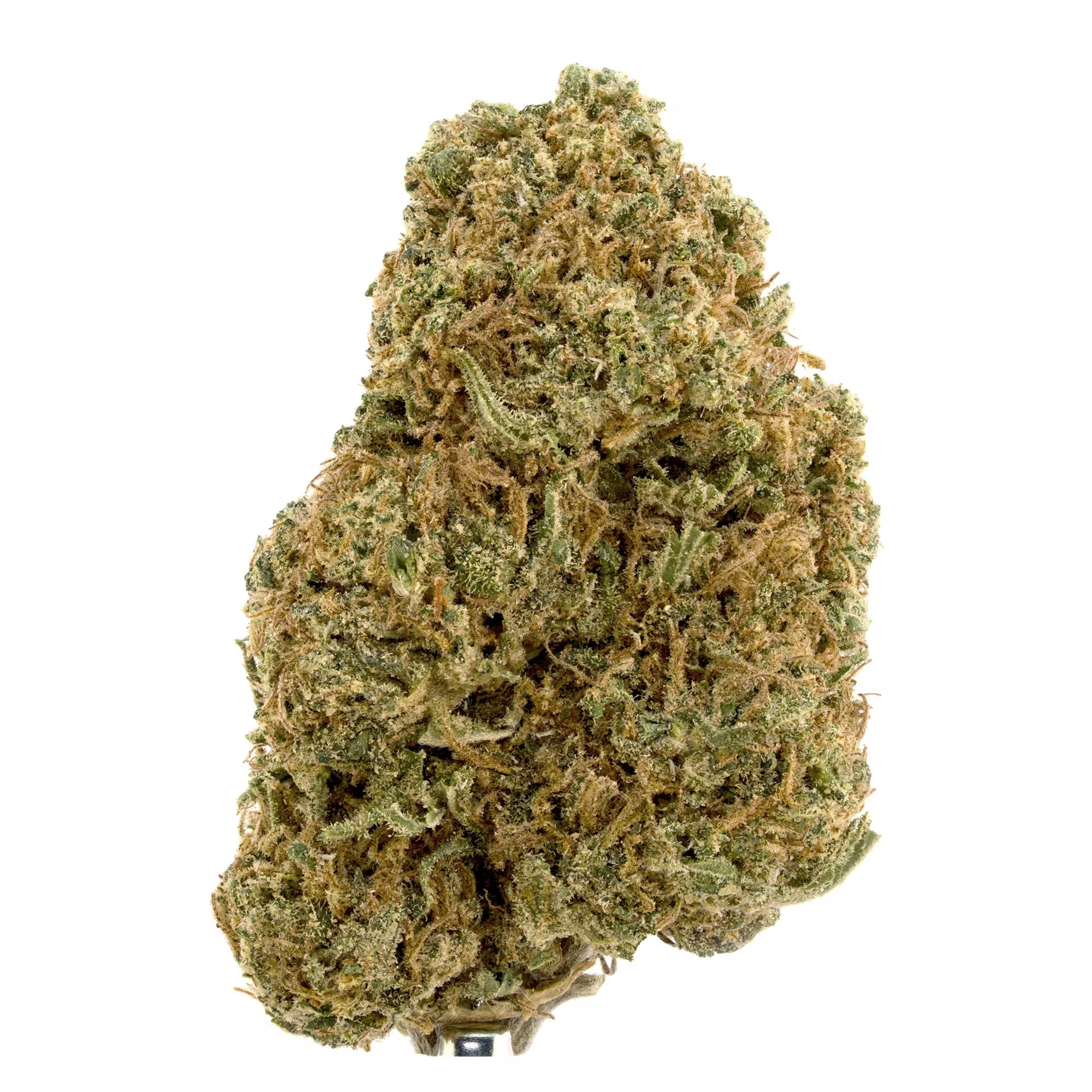 this is a clear image of Allium OG CBD Flower with white background.