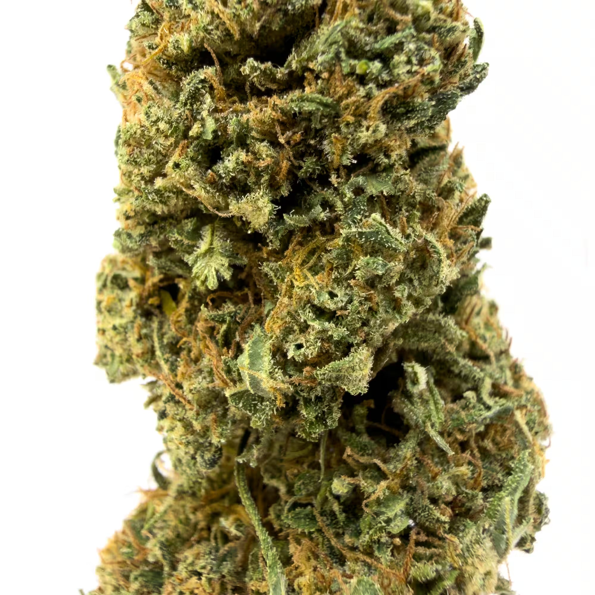 Fleur de CBD Bubblegum