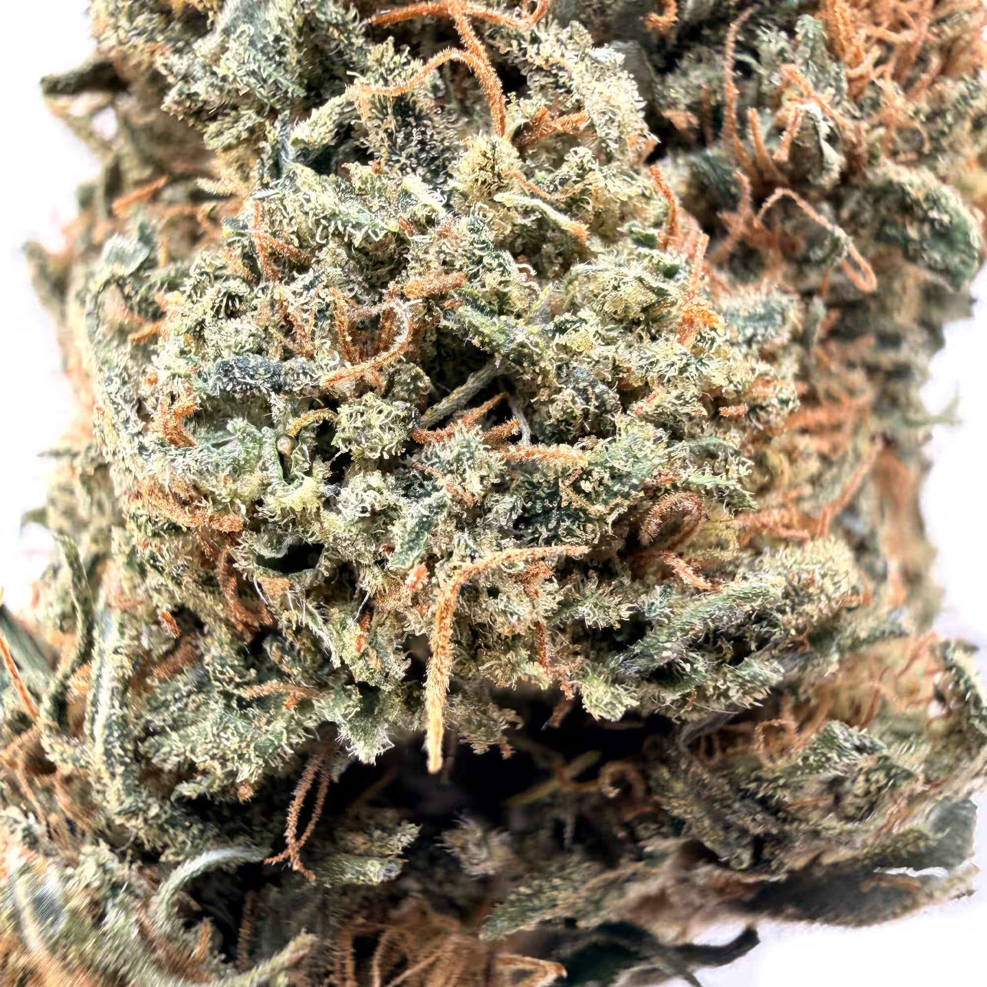 Fleur de CBD Gelato 33