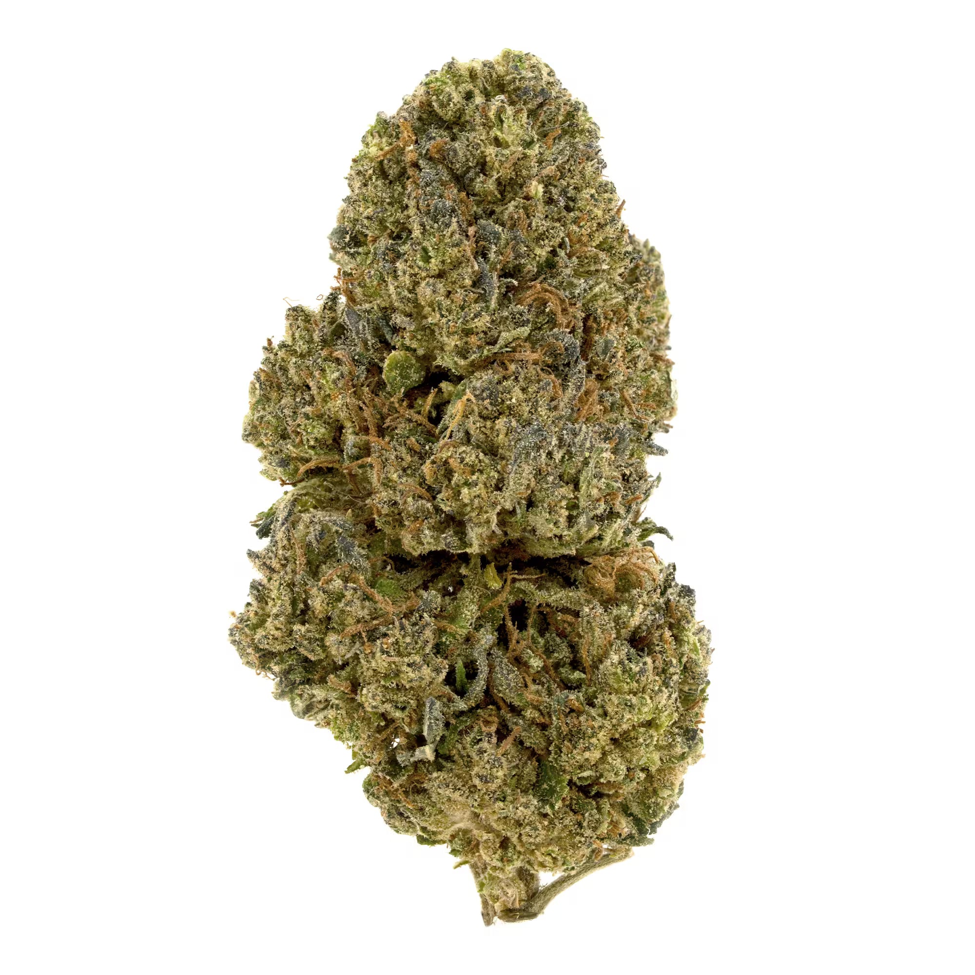 this is a picture of Oregon's premium Indica-dominant hybrid bred, Royal OG CBD flower grown naturally under the sun