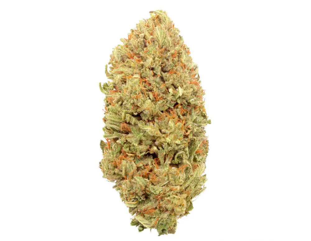 Bubba Kush 66 CBD Flower – Earthy and relaxing with soothing effects, perfect for unwinding and enjoying a calming CBD experience.