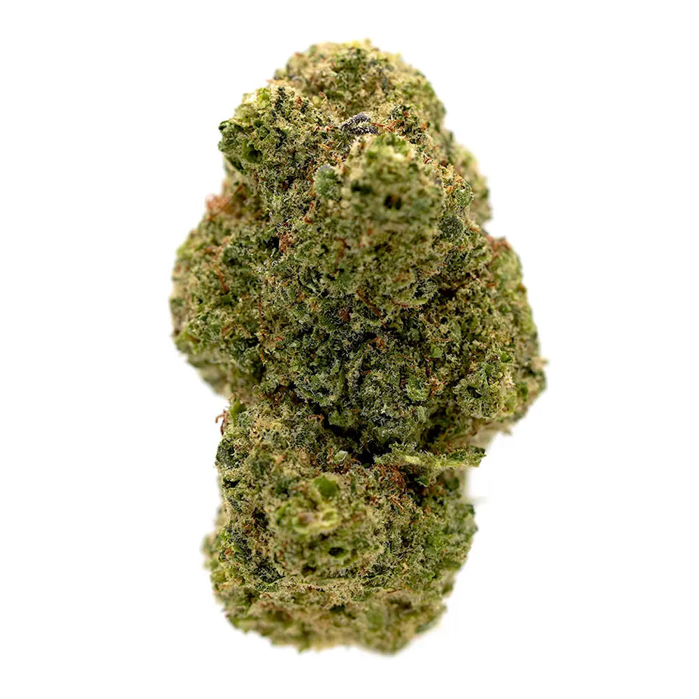 Jungle Juice CBD Hash – Exotic, fragrant, and full of flavour. This unique hash offers a refreshing tropical twist with relaxing CBD effects, exclusively from the OriginalsCBD collection in the UK.