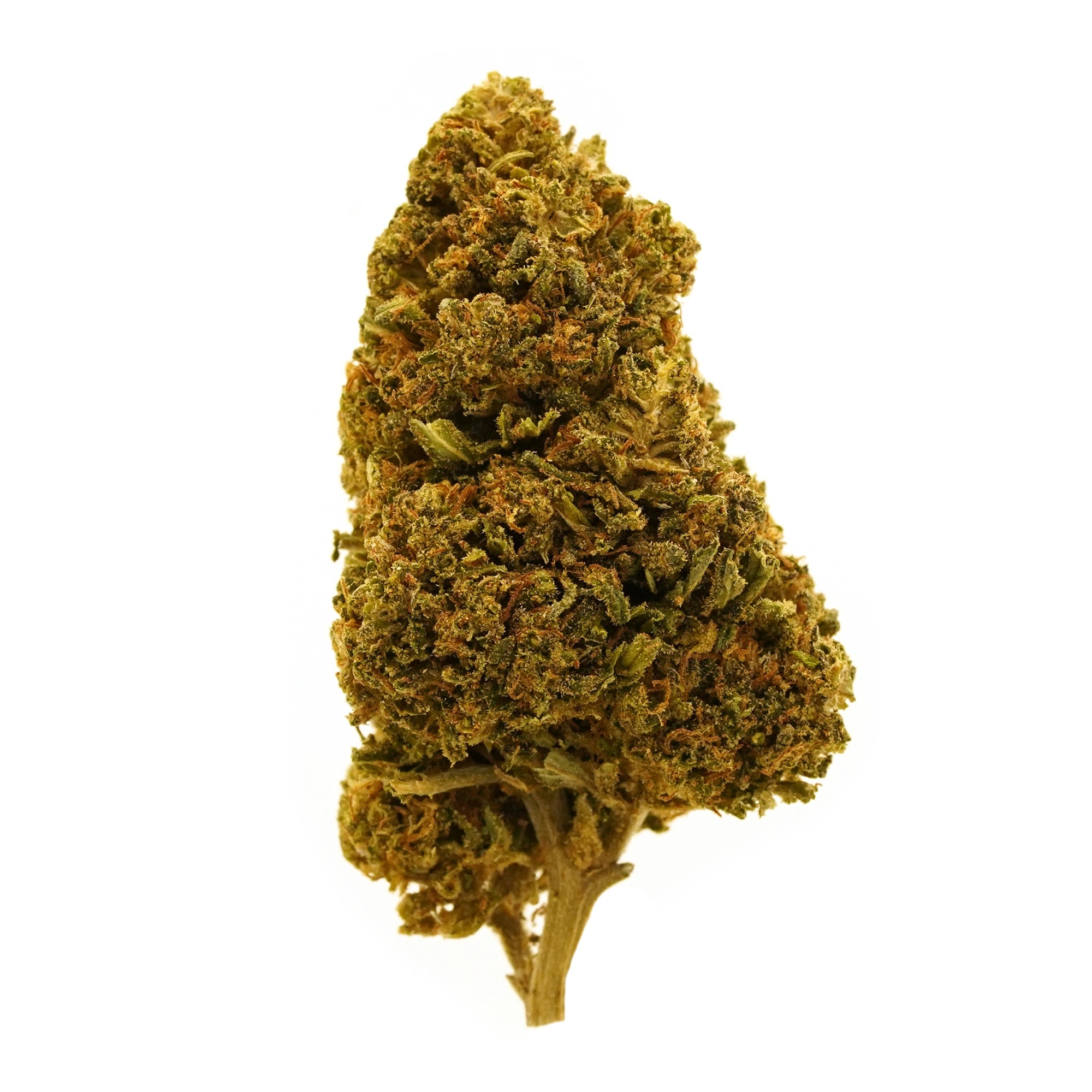 Fleur de CBD légendaire Banana Mac