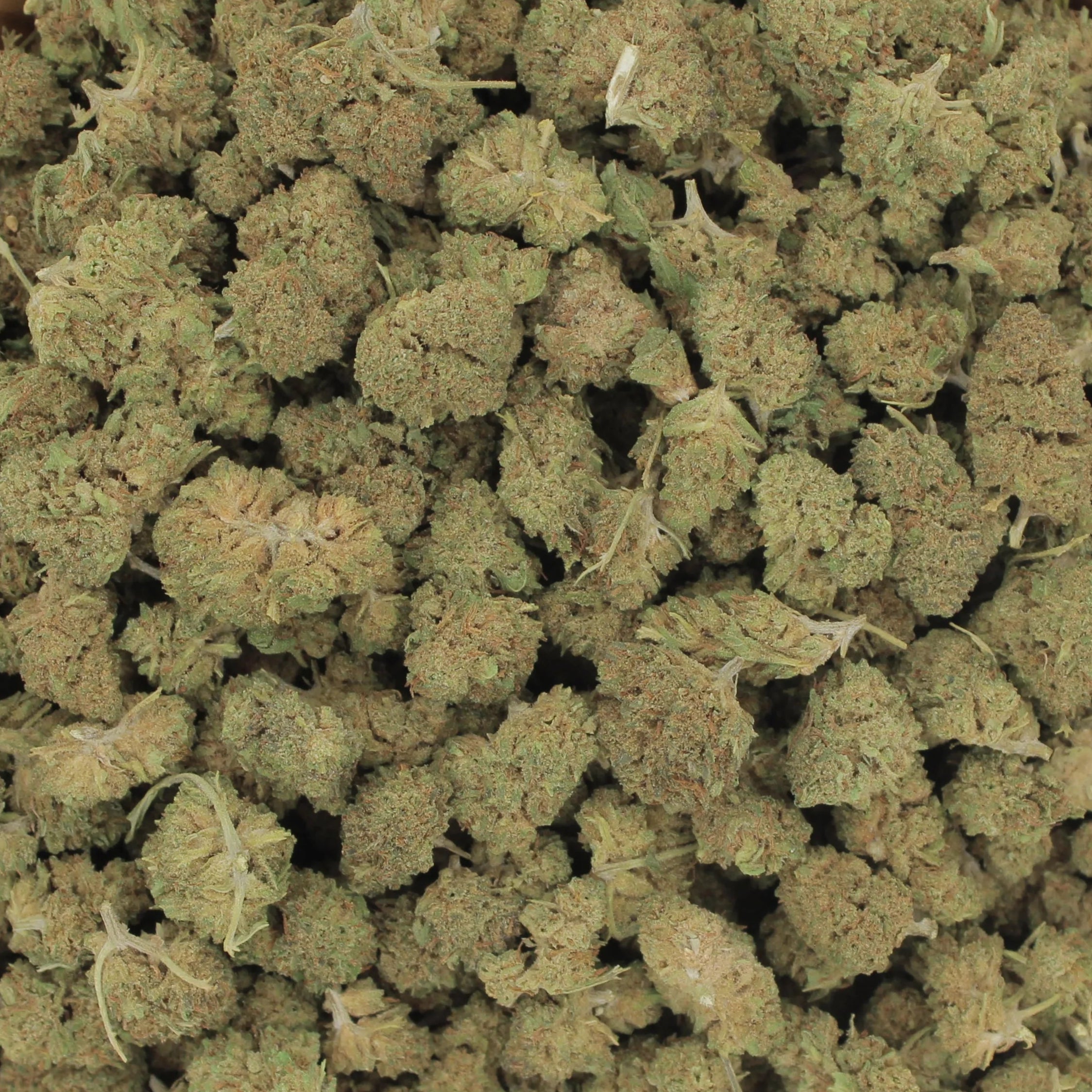 Sun grown CBD Flower from USA by Rouge Oregon 