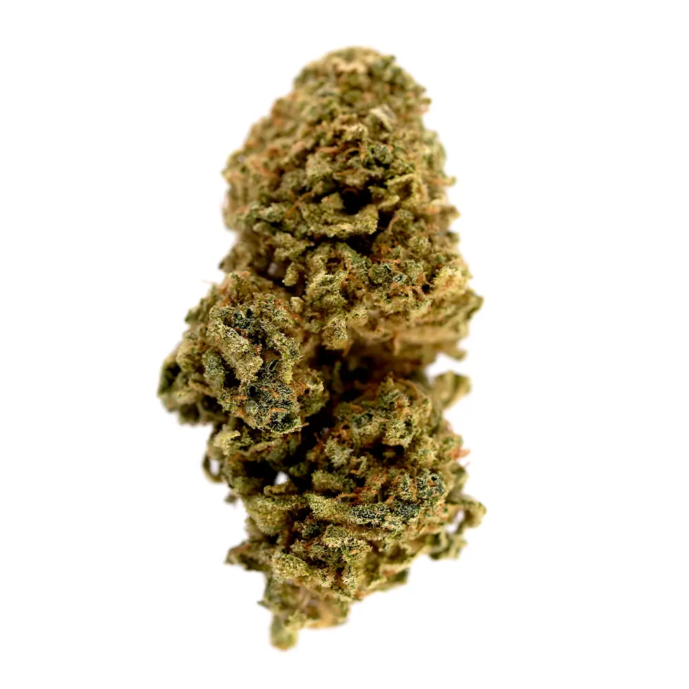 "
Platinum OG CBD Flower – Featuring the Originals CBD Flower Logo, from the UK's Leading CBD Flower Shop. A best-selling CBD Flower loved for its bold aroma and smooth, relaxing effects!"