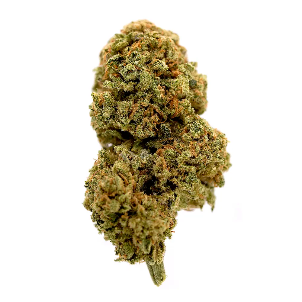 Wedding Cake CBD Flower – Branded with the Originals CBD Flower Logo, straight from the UK's Best CBD Flower Shop. A top-selling CBD Flower known for its rich flavour and premium quality!