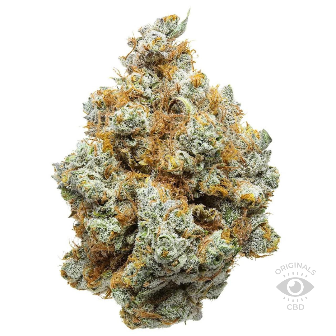 White Cheddar CBG flower from the Best CBD Flower Shop in UK