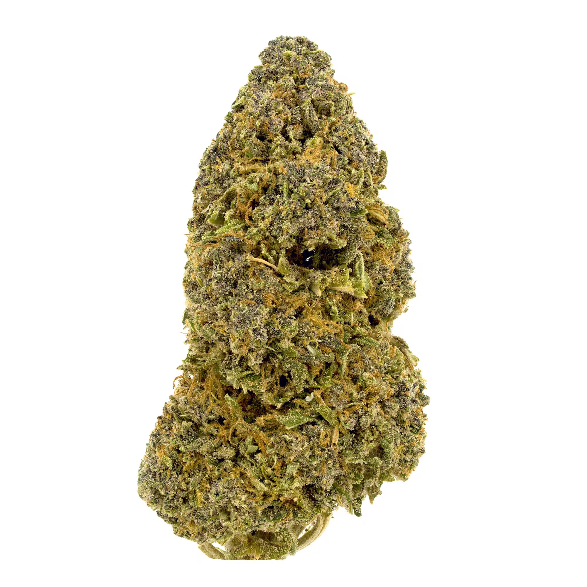 A Picture of Puff Pastries CBD flower-gourmet CBD hybrid bred. You Can See the full view of This hemp flower The best aromatic CBD Strain in the UK.